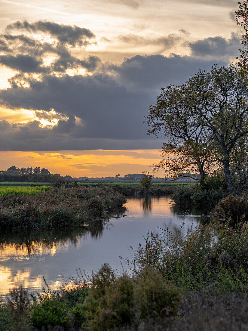 Ein Bach im ländlichen Flandern, Belgien.