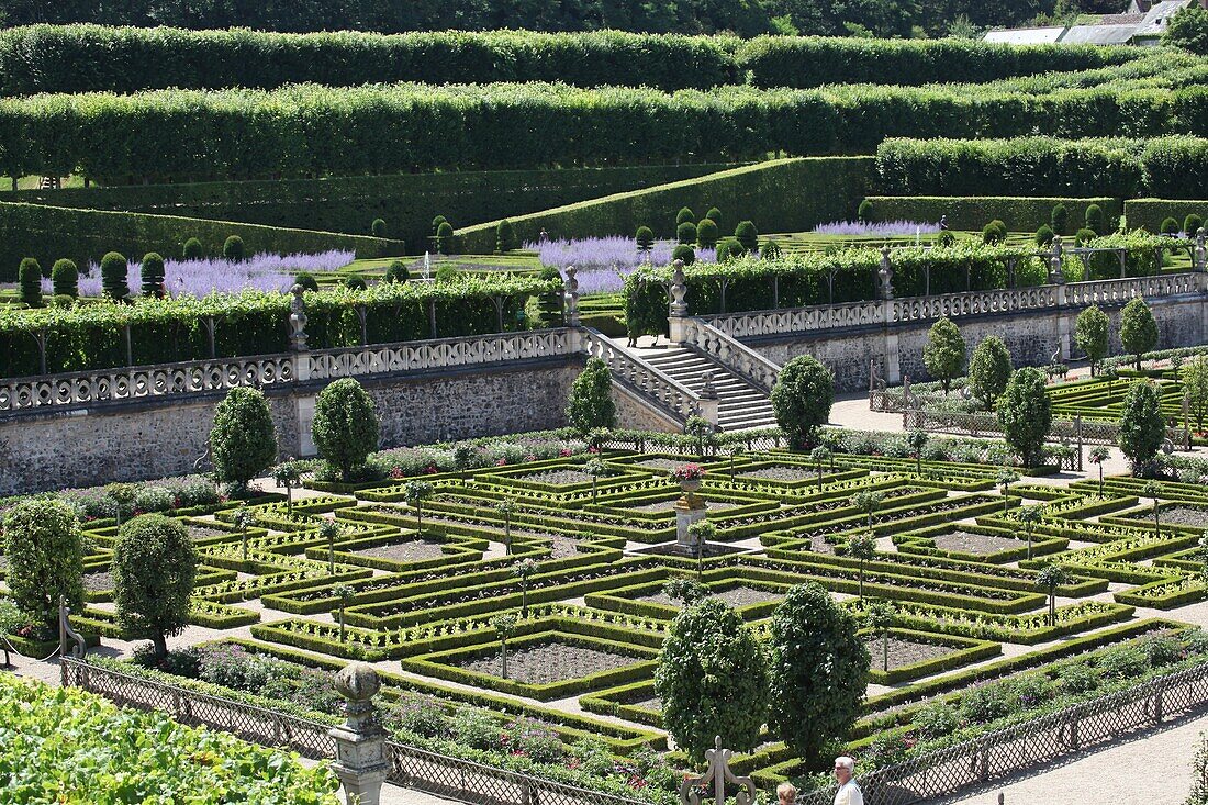 Villandry Chauteau und Gärten, Loiretal, Frankreich