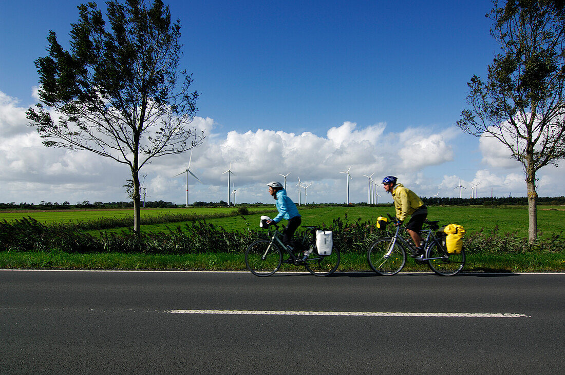 Radfahrer auf der Straße, Nordfriesland, Nordsee, Schleswig-Holstein, Deutschland