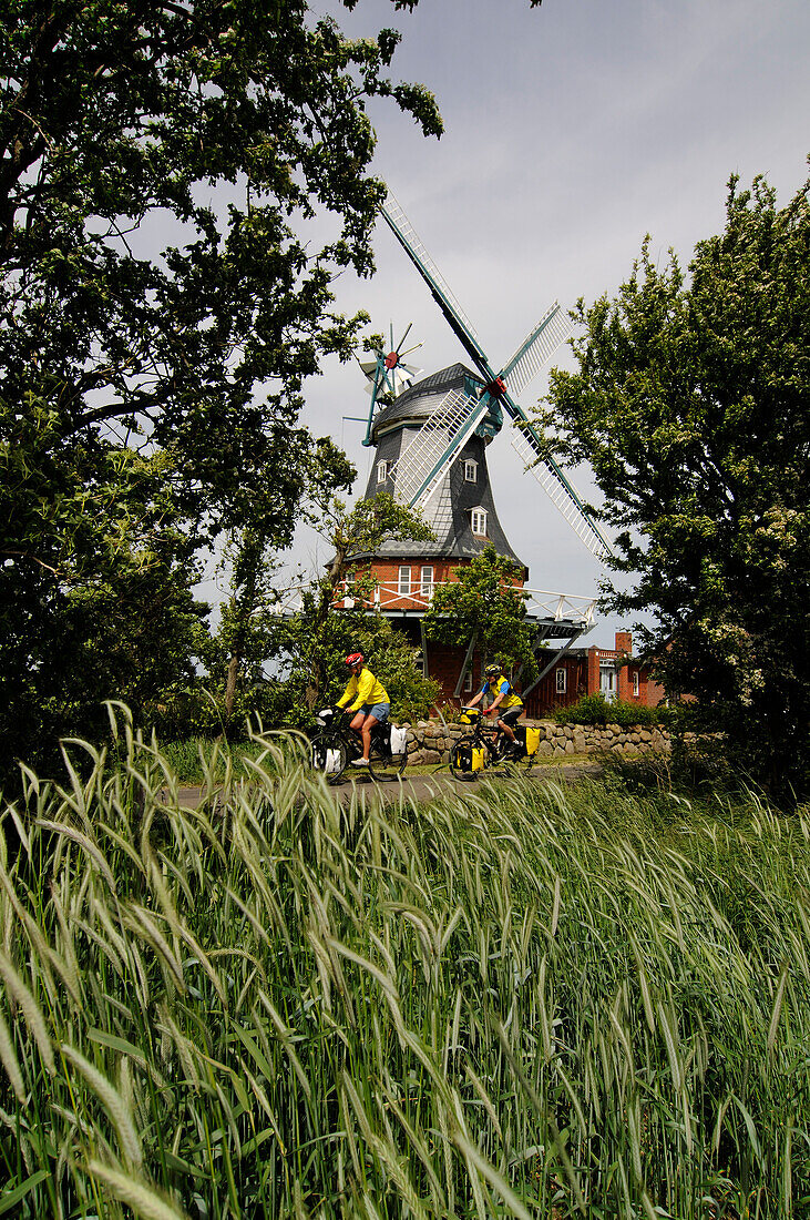 Cyclists in front of the windmill near Borgsum, Foehr Island, North Friesland, North Sea, Schleswig-Holstein, Germany, MR