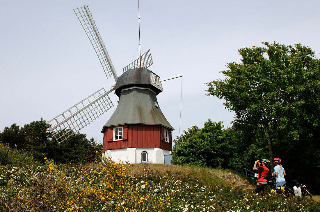 Cyclists in front of a windmill in Süddorf, Amrum Island, North Friesland, North Sea, Schleswig-Holstein, Germany, MR