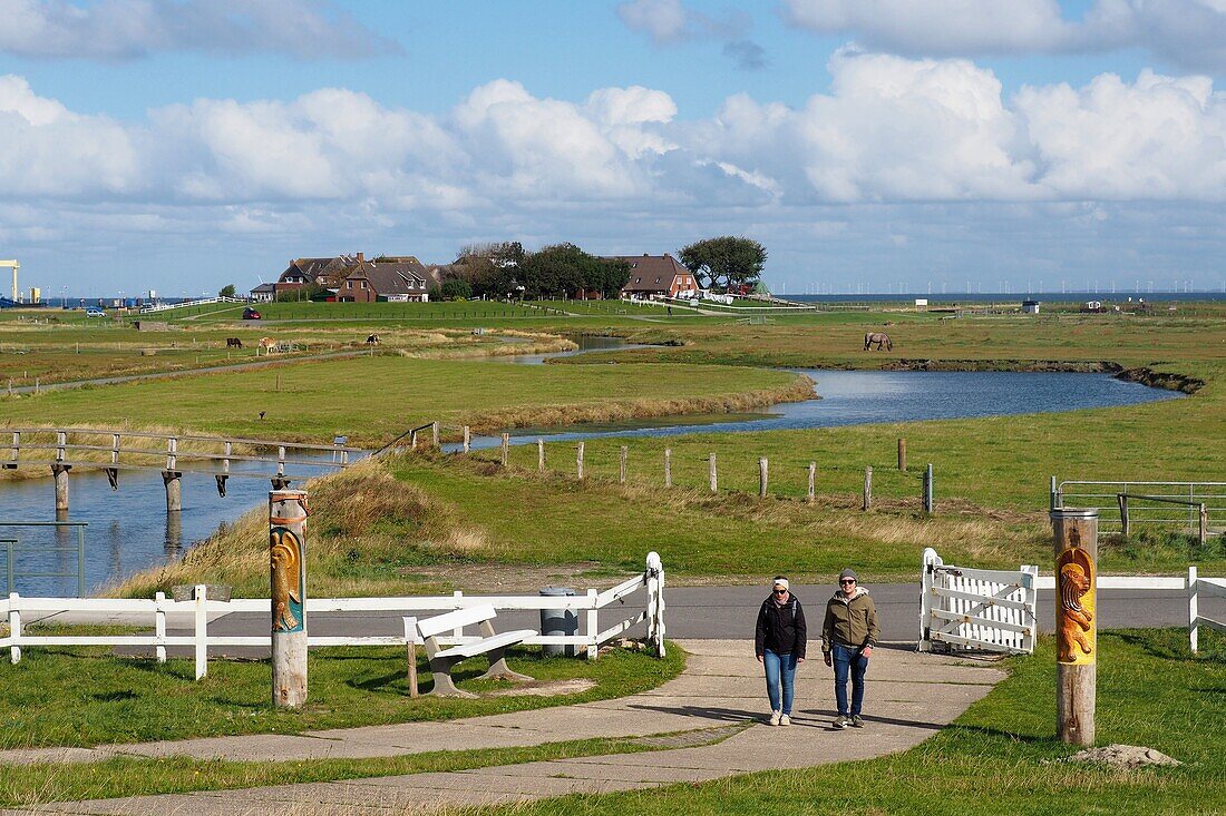 Blick zur Backenswarft, Hallig Hooge, Nationalpark Wattenmeer, Nordfriesland, Nordseeküste, Schleswig-Holstein