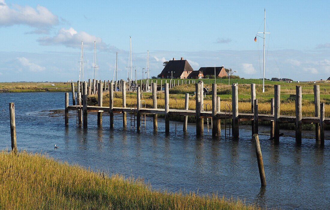 Kirchwarft, Hallig Hooge, Wadden Sea National Park, North Friesland, North Sea coast, Schleswig-Holstein