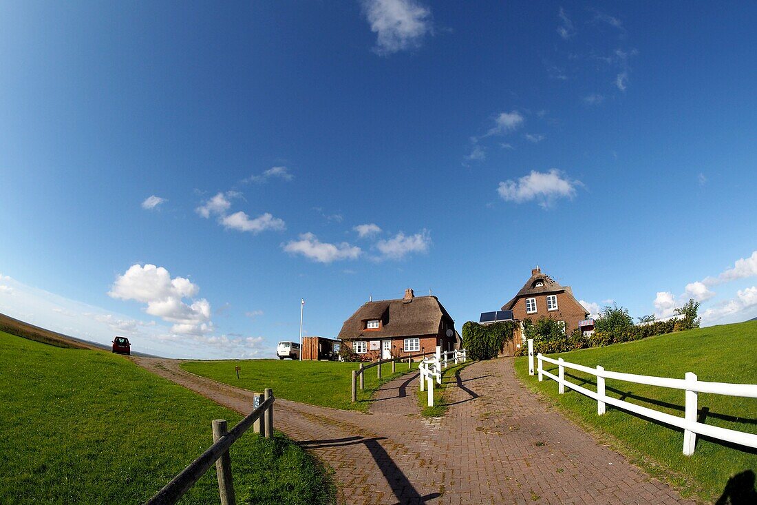 Westerwarft on the Hallig Hooge, Wadden Sea National Park, North Friesland, North Sea coast, Schleswig-Holstein