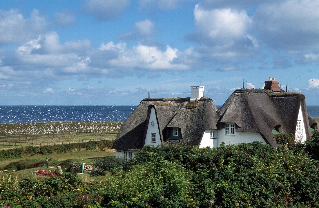 Kampen, Sylt, Nordseeküste Schleswig-Holstein, Deutschland