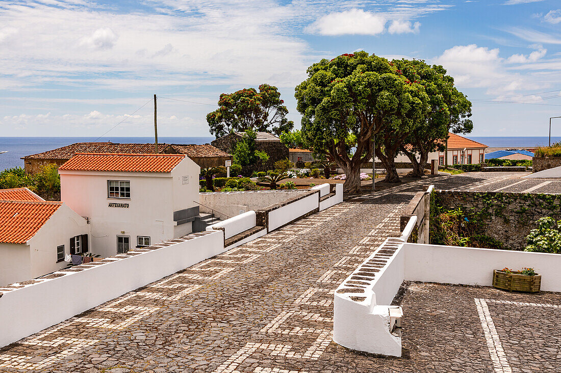 Pflasterstraße mit Häusern und Bäumen im malerischen Ort Lajes das Flores auf der Insel Flores, Azoren