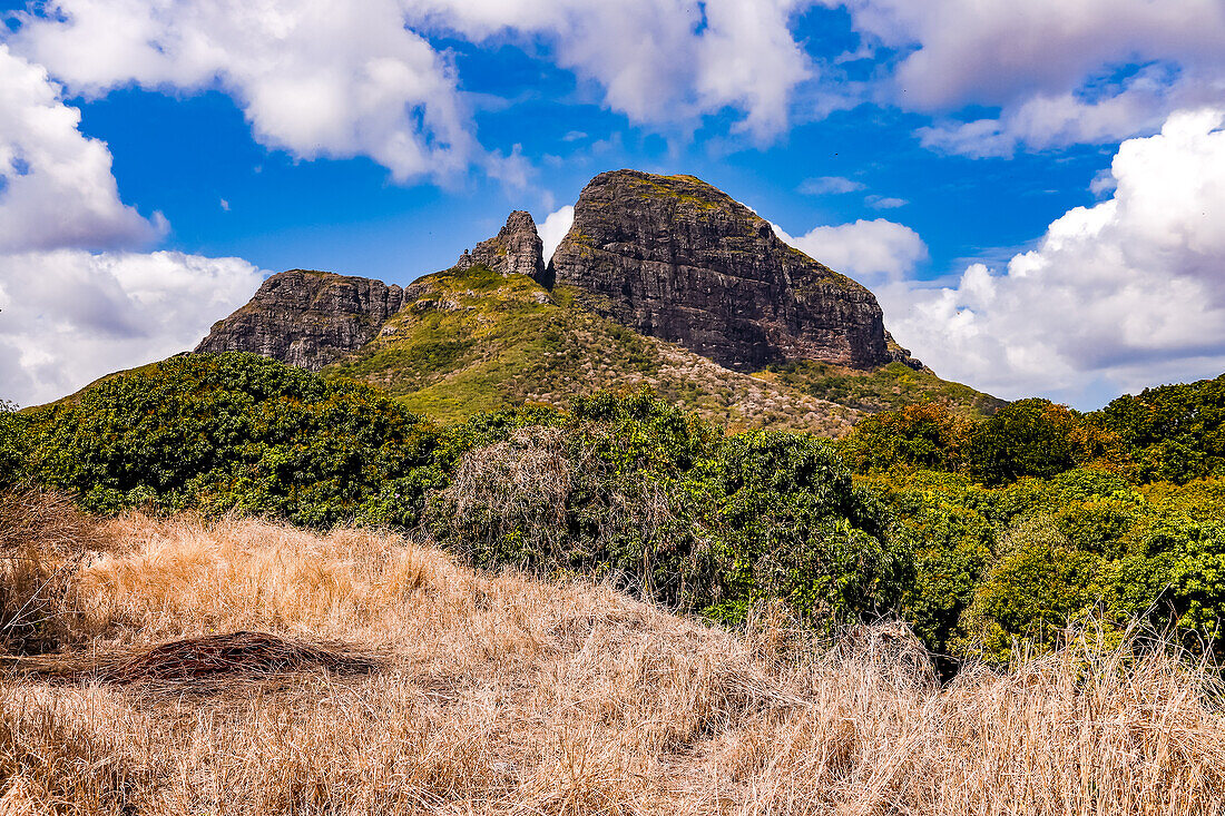 Die markante Bergformation Trois Mamelles vor grünen Bäumen an der Westküste von Mauritius, Indischer Ozean