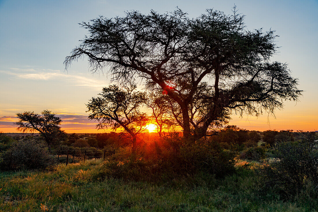 A sunset in the scrubland northeast of Windhoek, Namibia, Africa