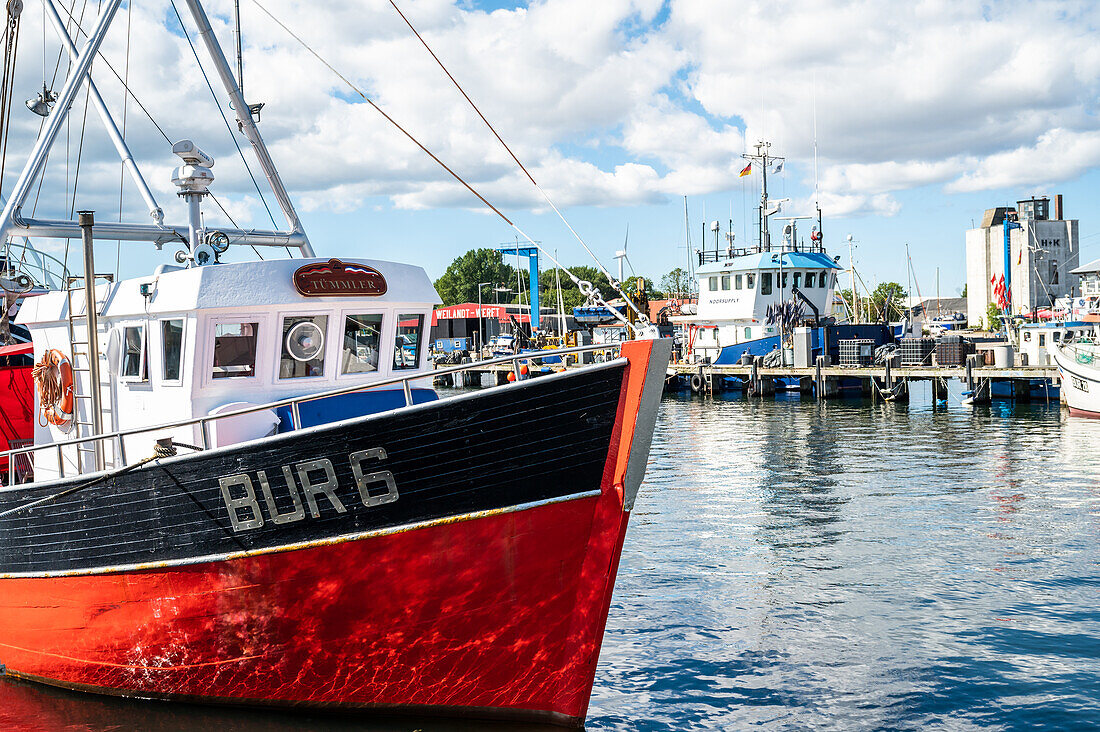 Fischkutter Tümmler, Burgstaaken, Fehmarn, Insel, Ostholstein, Schleswig-Holstein, Deutschland