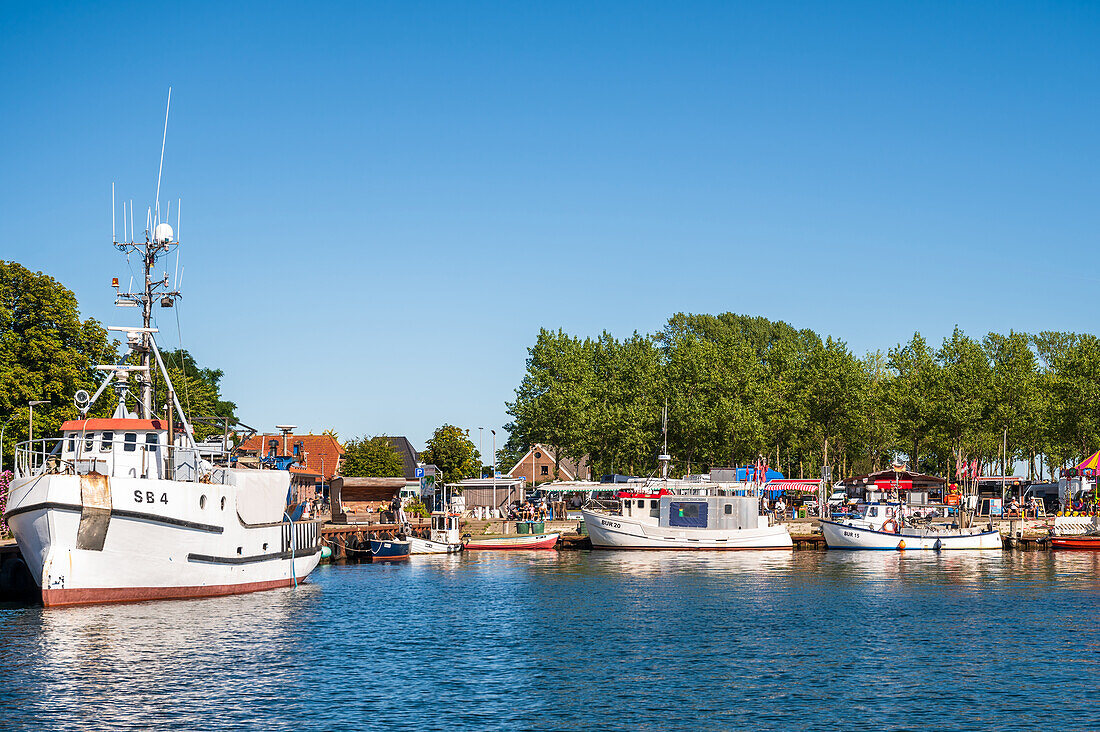 Blick auf die Fischkutter in Burgtiefe, Segelboot, Fehmarn, Insel, Ostholstein, Schleswig-Holstein, Deutschland