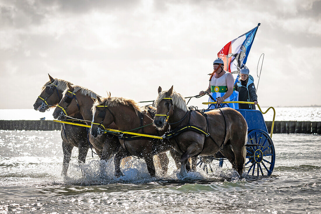 Kaltblüter in der Ostsee in Grossenbrode im Asterix Kostüm, Ostsee, Ostholstein, Schleswig-Holstein, Deutschland