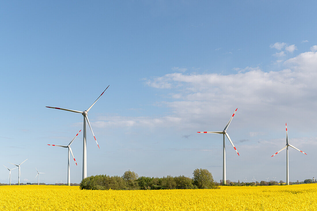 Wind turbines and blooming rapeseed field in Ostholstein, Schleswig-Holstein, Germany
