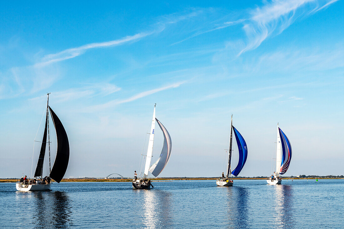 Segelregatta in der Ostsee vor Heiligenhafen, Ostholstein, Schleswig-Holstein, Deutschland