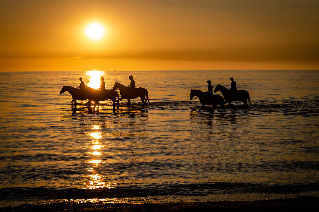 Reiter im Sonnenuntergang in der Ostsee, Ostholstein, Schleswig-Holstein, Deutschland