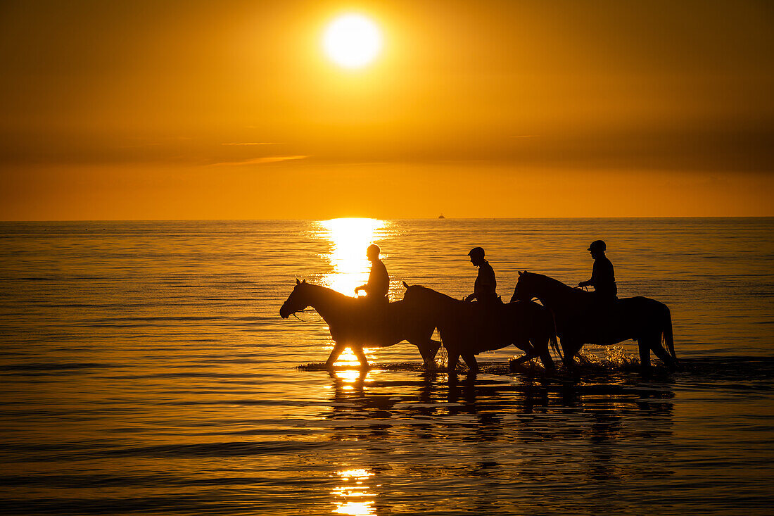 Drei Reiter im Sonnenuntergang in der Ostsee, Ostholstein, Schleswig-Holstein, Deutschland