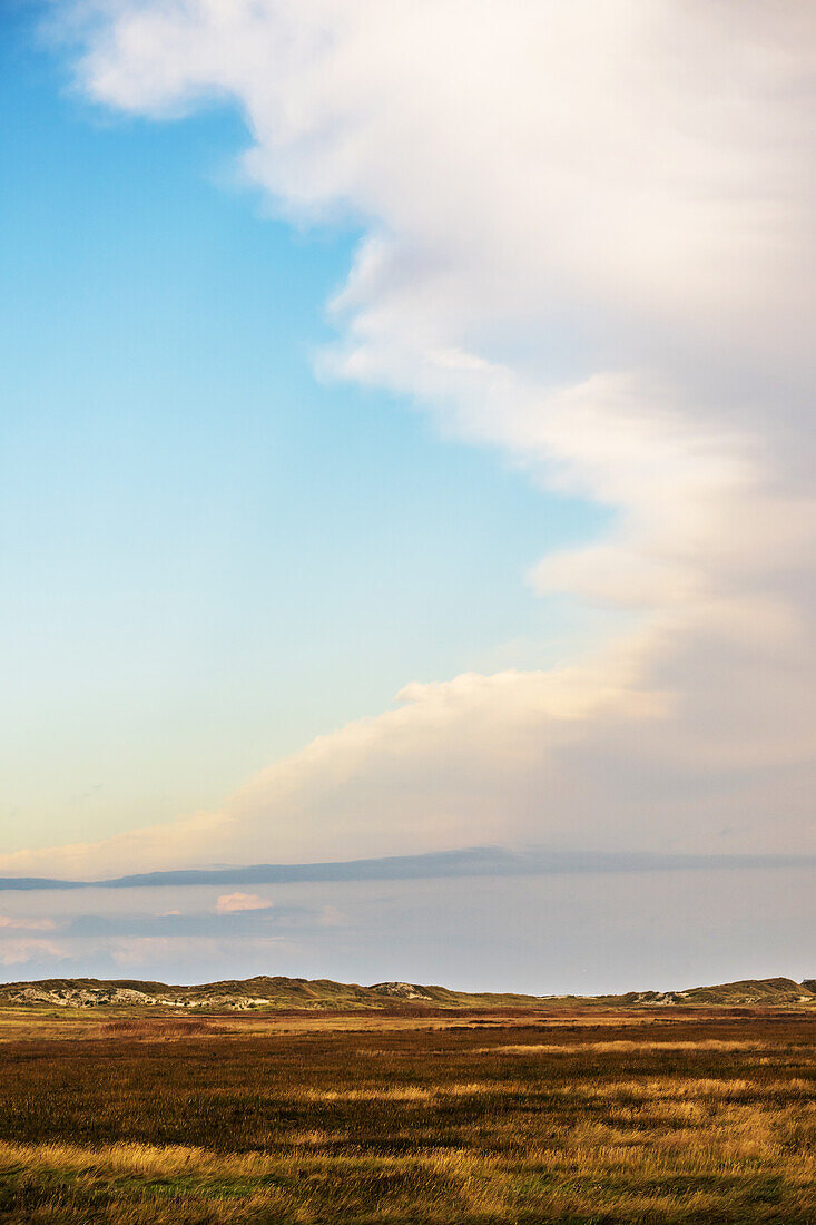 View of the salt marshes and the wide sky at the North Sea, Sankt-Peter-Ording, North Friesland, Schleswig-Holstein, Germany