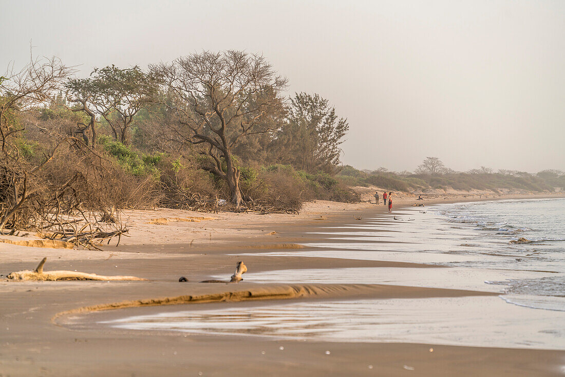 Jinack Island beach, Gambia, West Africa,