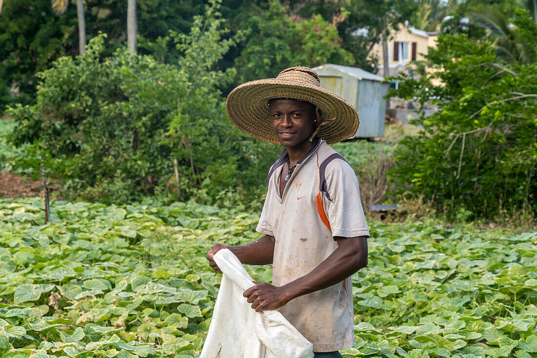 Afrikanischer Bauer auf seinem Feld, Saint Francois, Insel Rodrigues, Mauritius, Afrika