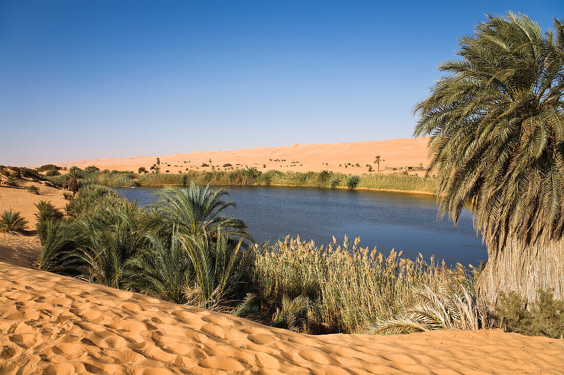 Mandara-See in den Dünen von Ubari, Umm-al-Maa, Libyen