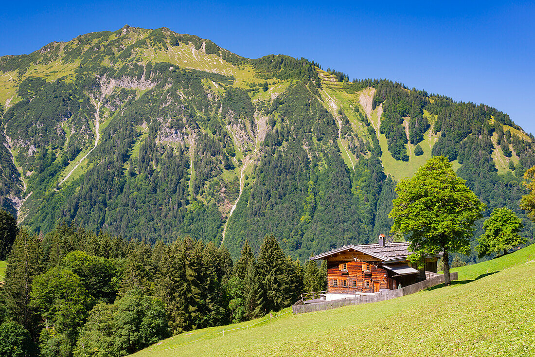 Gerstruben, a former mountain farming village in the Dietersbachtal near Oberstdorf, Allgäu Alps, Allgäu, Bavaria, Germany, Europe