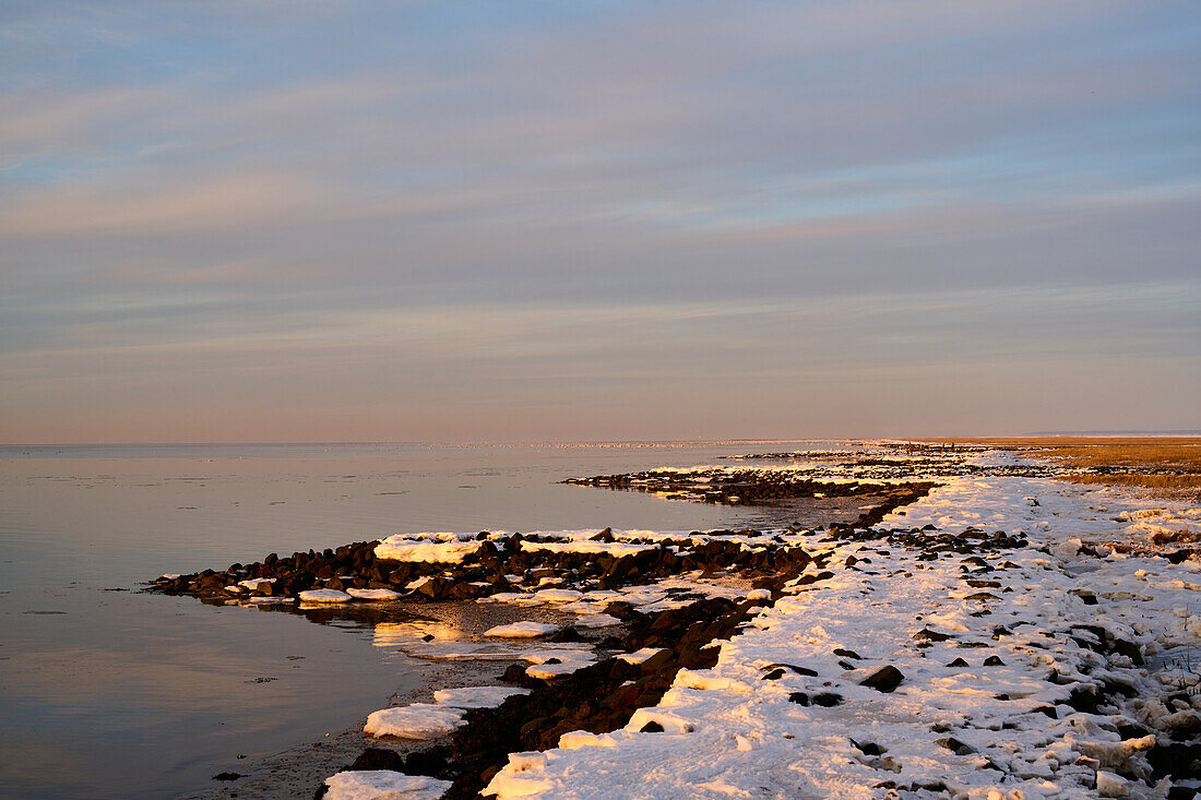Sunset at the dike, Cappel-Neufeld, Cuxhaven district, Lower Saxony, Germany