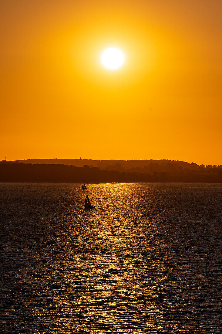 Segelboote im Sonnenuntergang in der Kieler Förde, Schleswig-Holstein, Deutschland, Europa