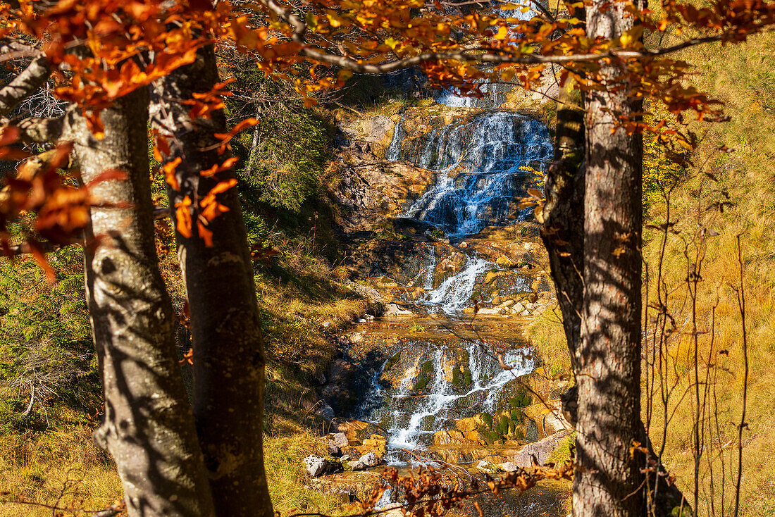 Bergbach im Herbstwald oberhalb der Jachenau, Bayern, Deutschland