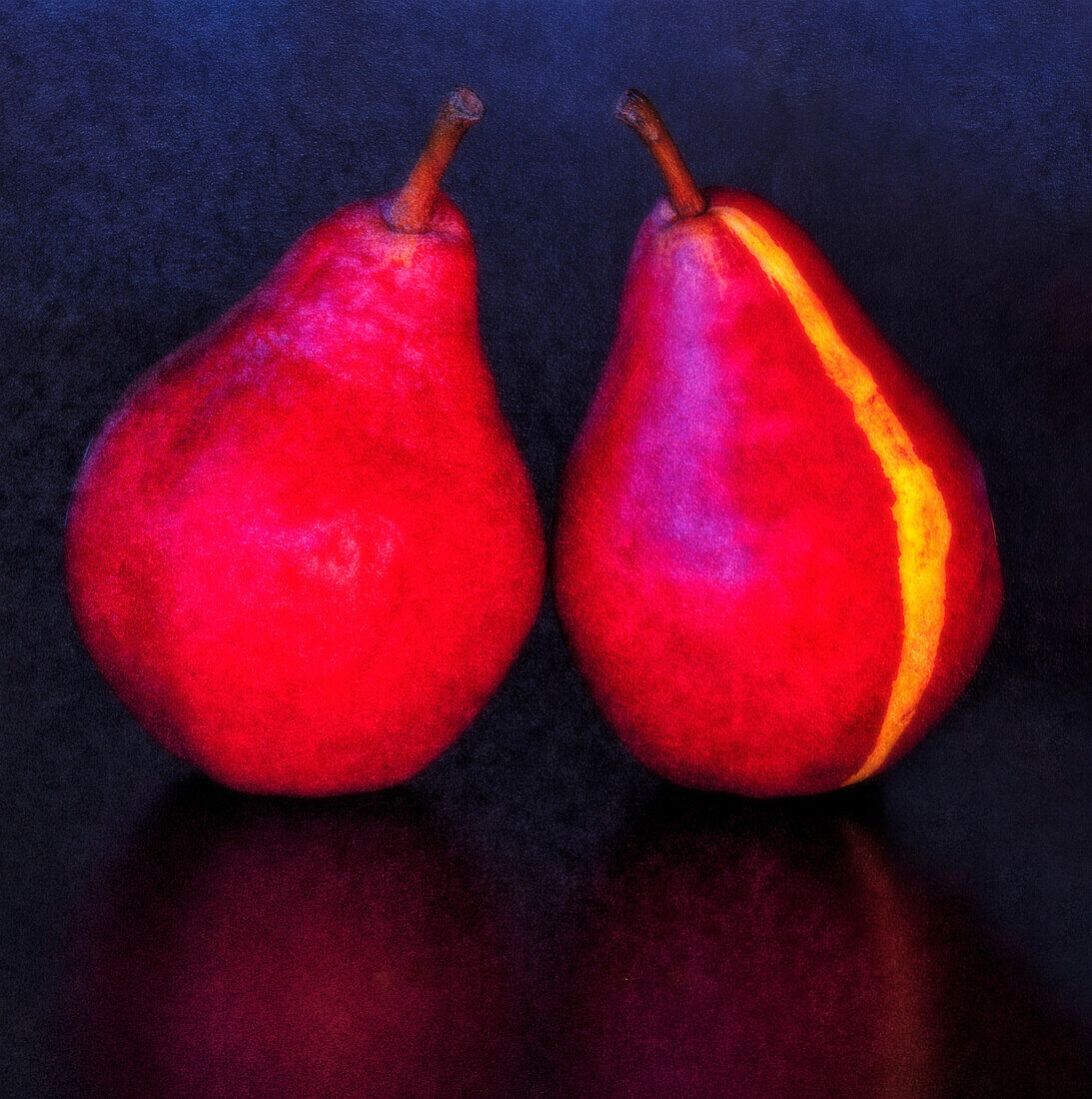 USA, Oregon, Coos Bay. Pair of Starkrimson pears