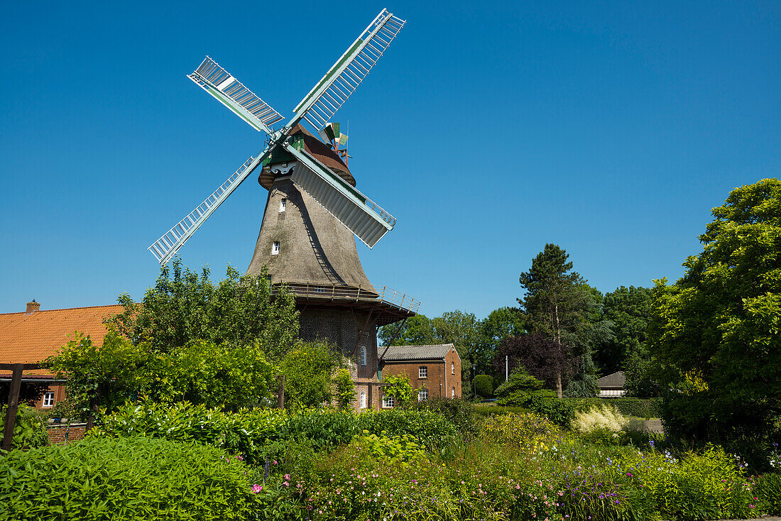 Windmill, Jemgum, East Friesland, Lower Saxony, Germany