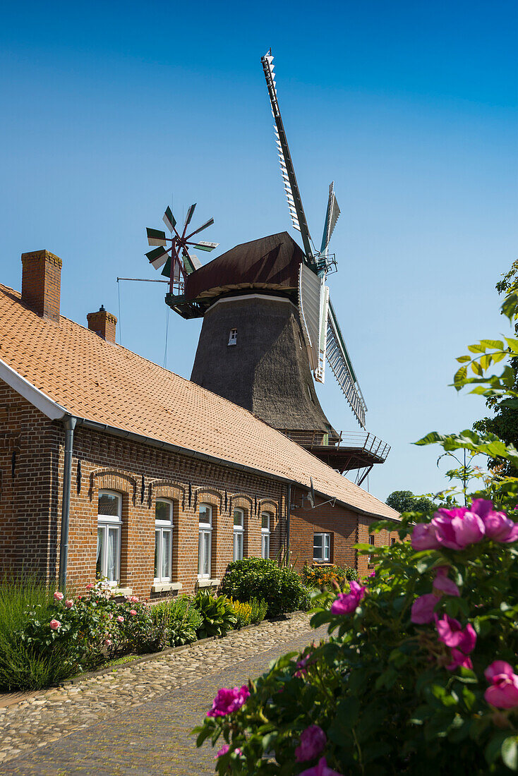 Windmill, Jemgum, East Friesland, Lower Saxony, Germany