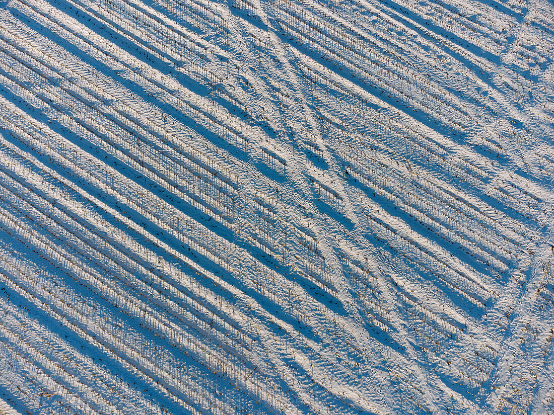 Schneelandschaft mit Muster aus Reifenspuren im Acker im Sempttal bei Wifling in Oberbayern, Bayern, Deutschland