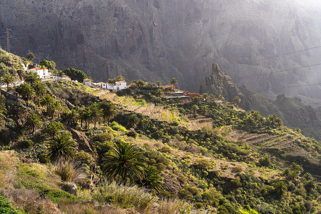 Mountain village of Masca and the gorge in the Teno Mountains, Masca, Tenerife, Canary Islands, Spain