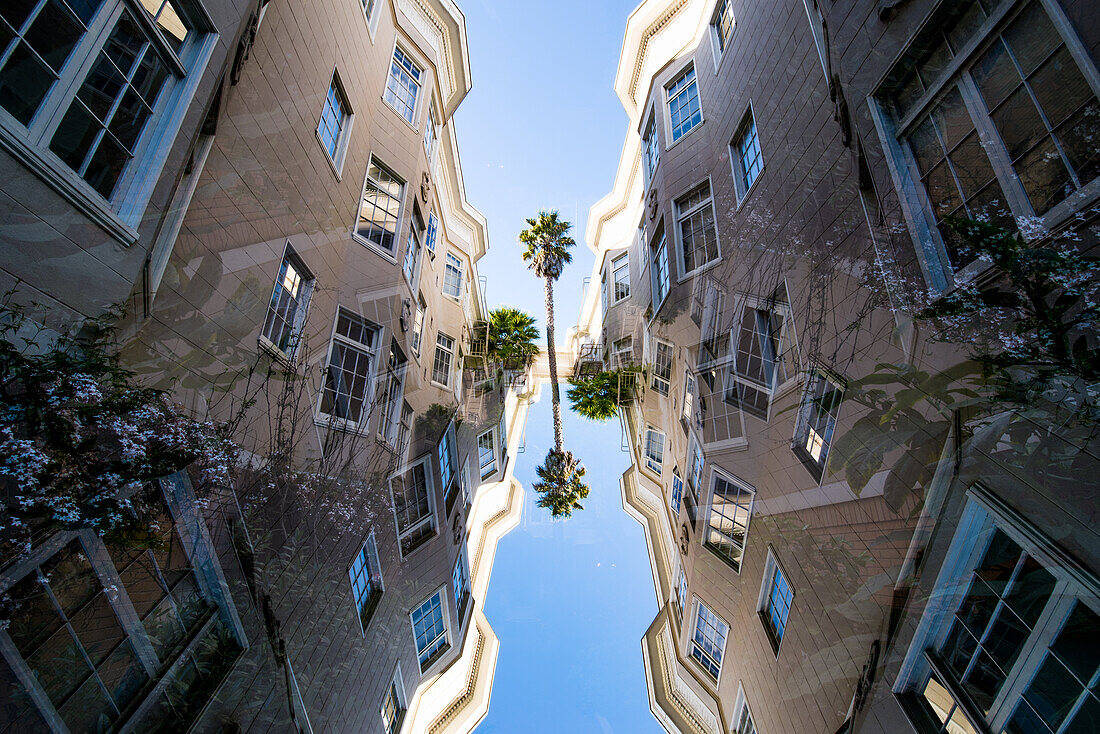 Double exposure of residential buildings and a palmtree on Hayden street in San Francisco, California.