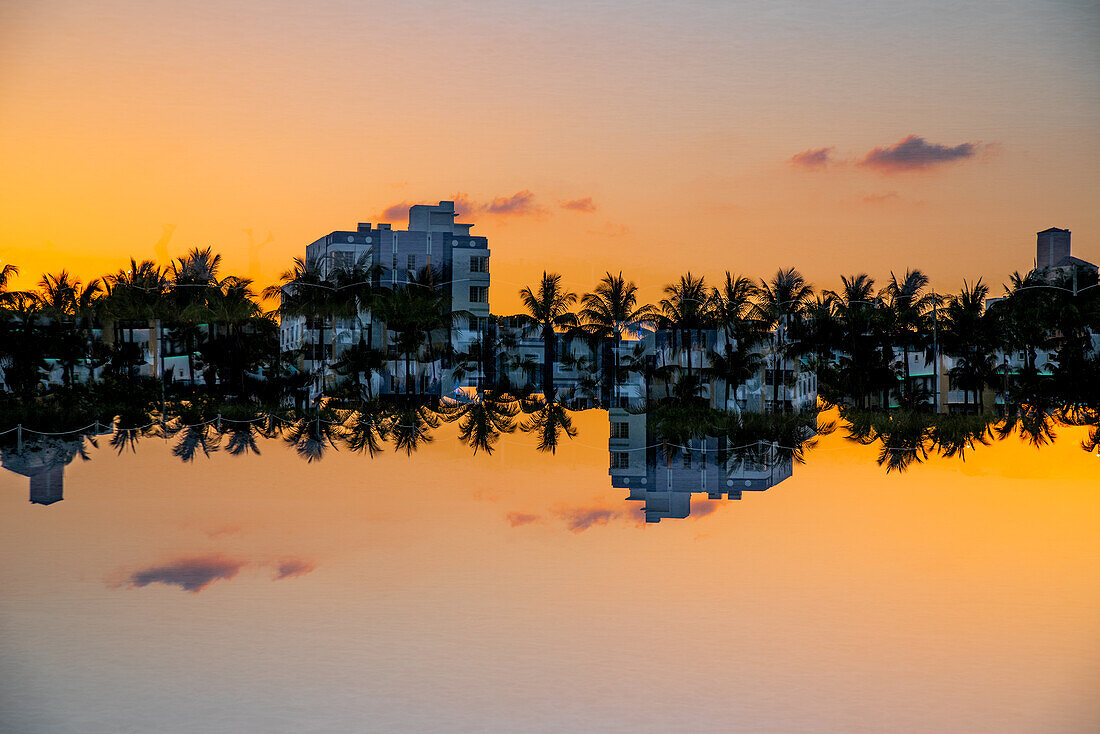Doppelbelichtung der Palmen, die Miami Beach, Florida, säumen