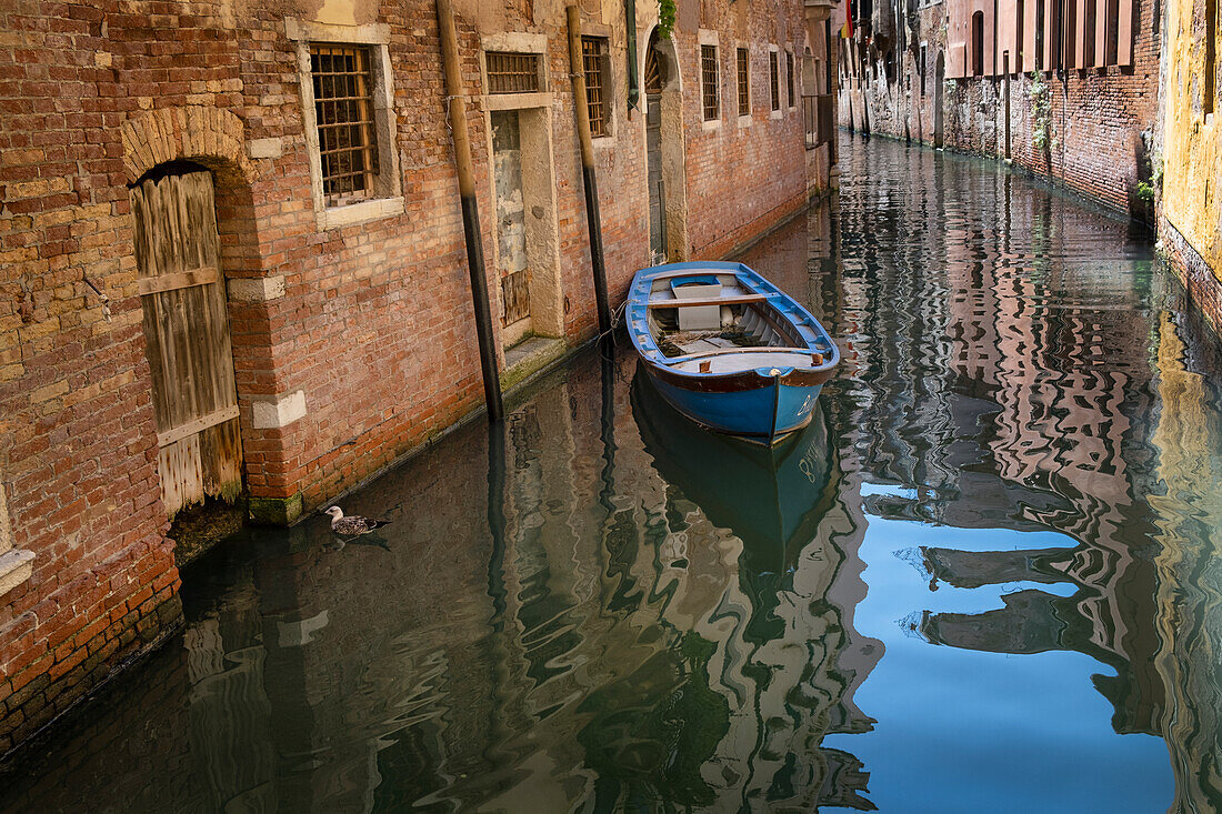 Blick auf ein Boot in einem Kanal in Venedig, Dorsoduro, San Polo, Venezia, Venetien, Italien, Europa