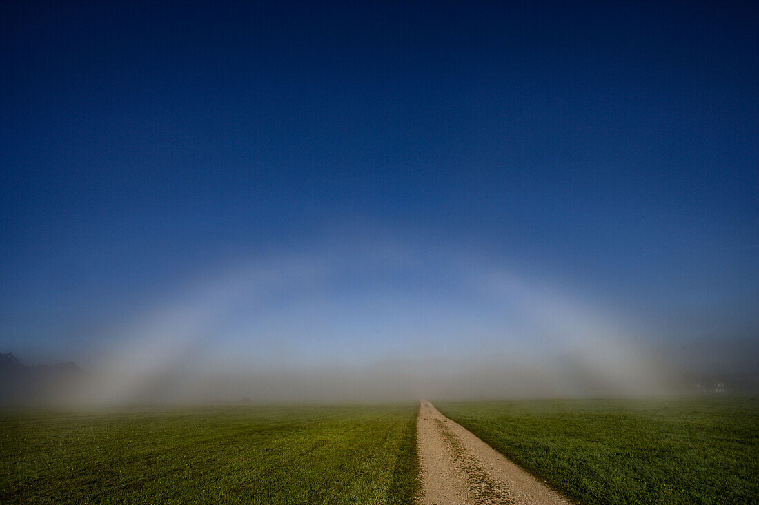 Nebelbogen, weißer Regenbogen vor Nebelwand auf freiem Feld mit Feldweg