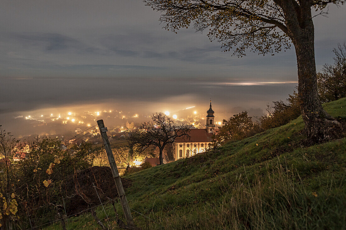 Nebelstimmung am Steigerwaldrand, Castell, Kitzingen, Unterfranken, Franken, Bayern, Deutschland, Europa