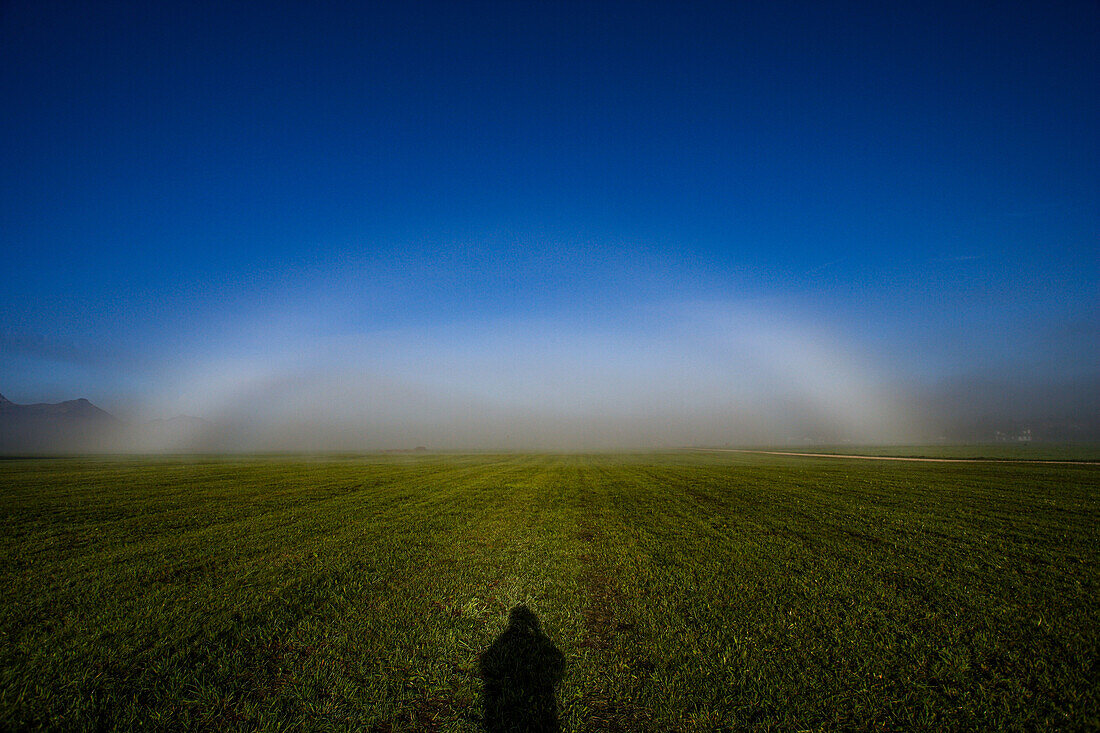 Nebelbogen, weißer Regenbogen vor Nebelwand auf freiem Feld