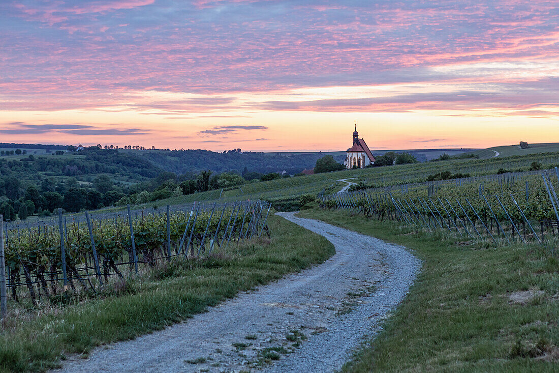 Red sky over the vineyards, Kirchberg, Maria im Weingarten, Volkach, Kitzingen, Lower Franconia, Franconia, Bavaria, Germany, Europe