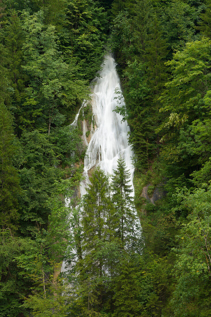 Buchenegger Wasserfälle, bei Oberstaufen, Allgäu, Bayern, Deutschland