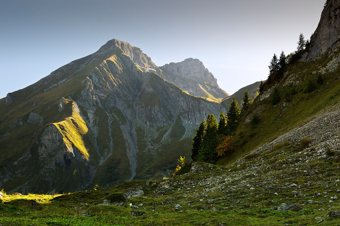 Linkerskopf, near Obertsdorf, Allgäu, Bavaria, Germany