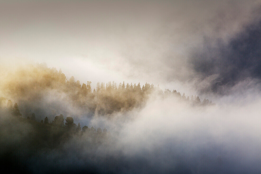 Nebel am Schachen, Wettersteingebirge, Bayern, Deutschland