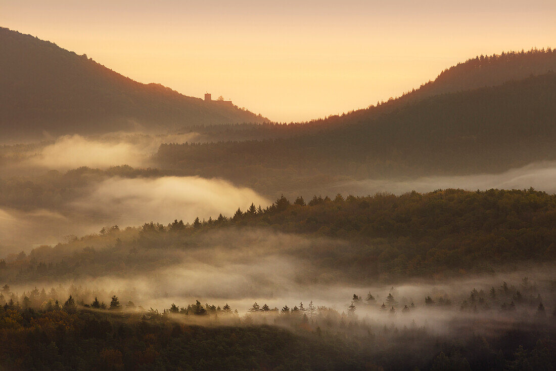 Morgenstimmung, Blick zur Burg Landeck, Pfälzer Wald, Pfalz, Rheinland-Pfalz, Deutschland