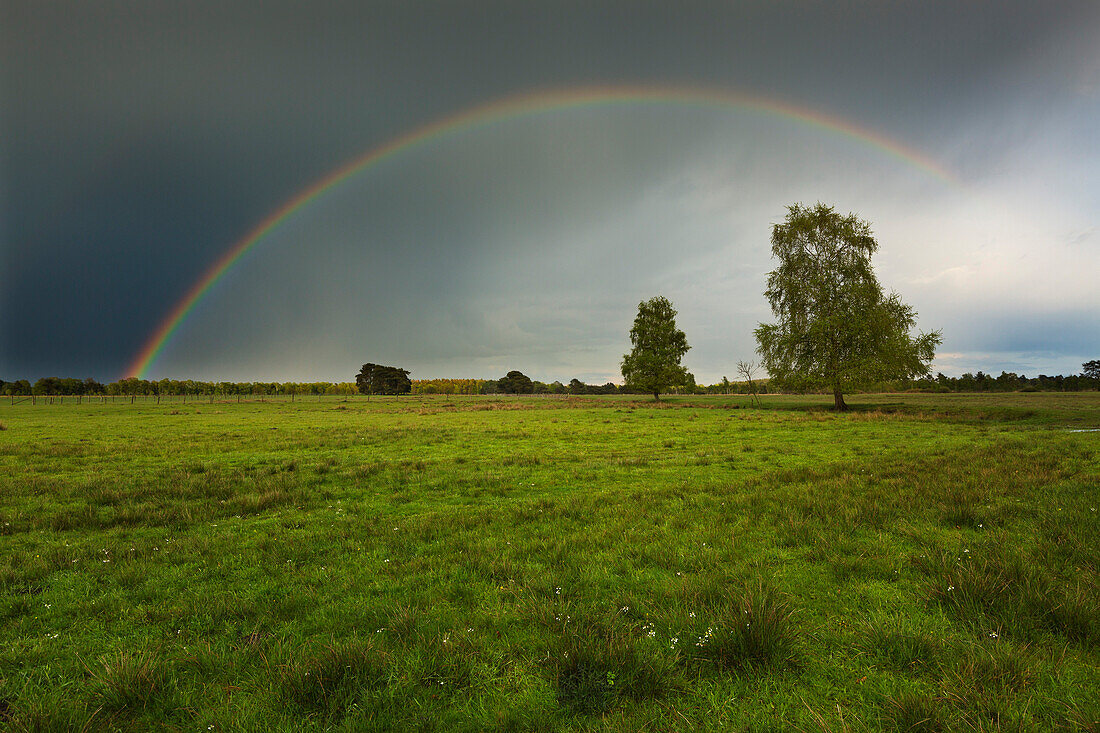 Regenbogen über der Moorlandschaft, Niedersachsen, Deutschland