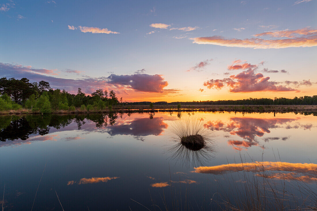 Moorlandschaft, Niedersachsen, Deutschland