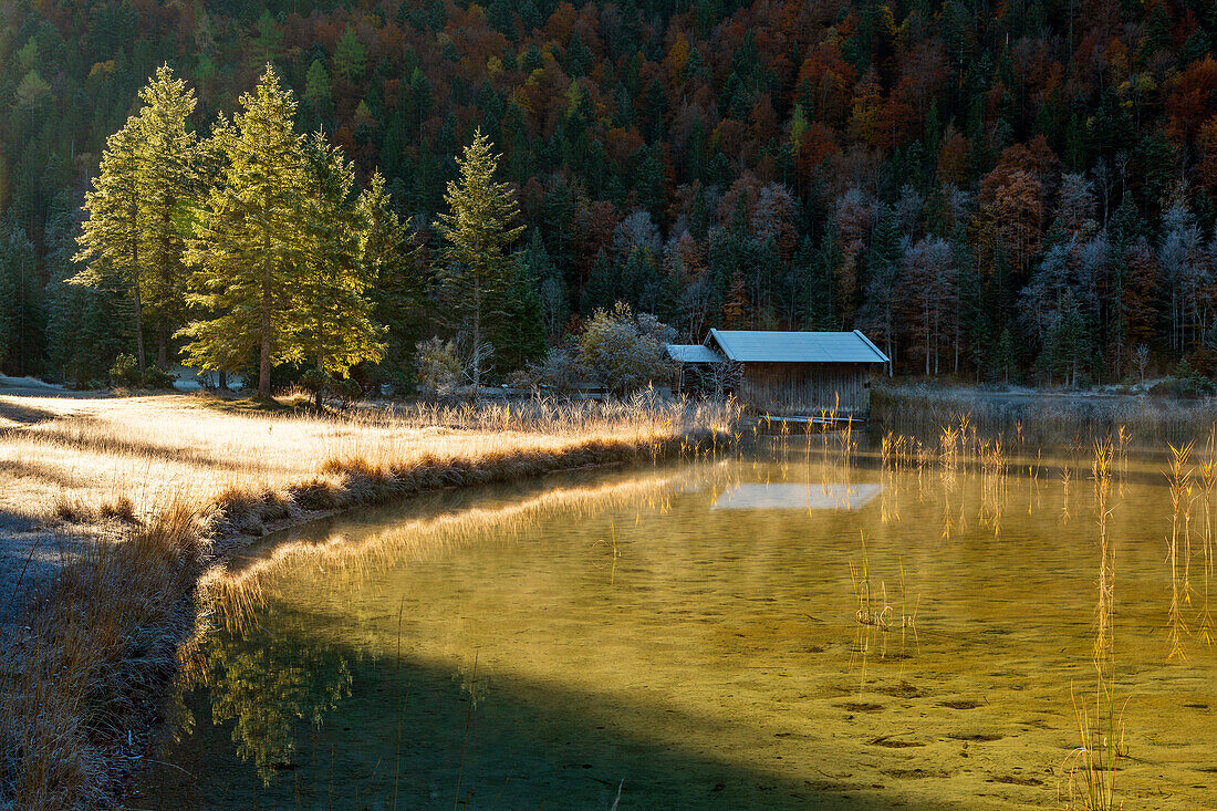 Ferchensee, bei Mittenwald, Wettersteingebirge, Bayern, Deutschland