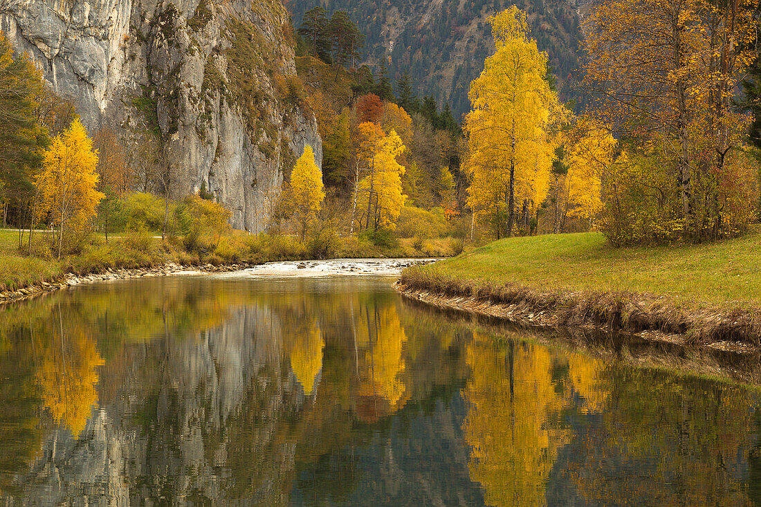 Blick über die Ammer, bei Oberammergau, Ammergauer Alpen, Bayern, Deutschland