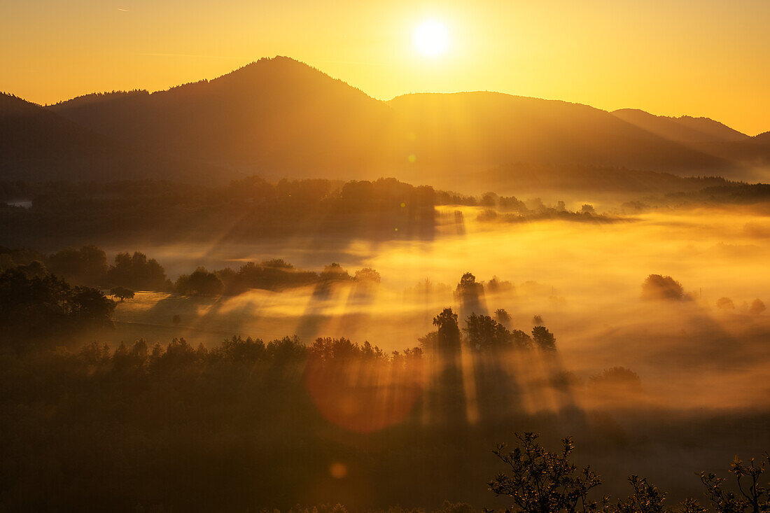 Sonnenaufgang an den Geiersteinen, Rheinland-Pfalz, Deutschland