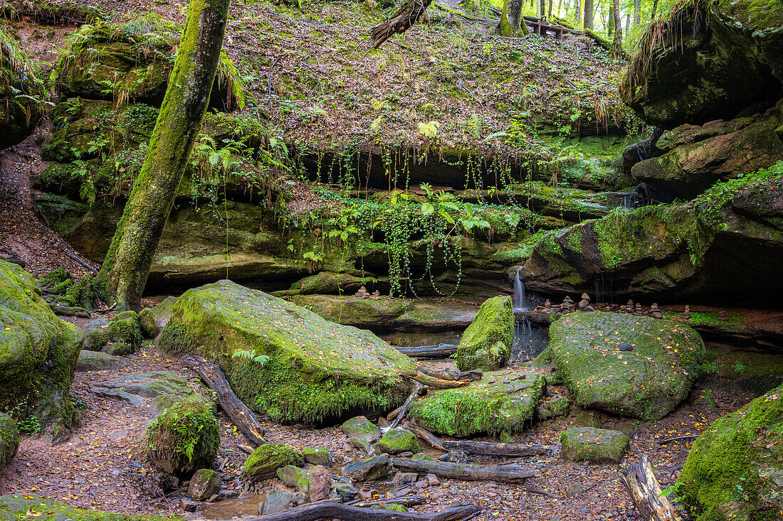 Hexenklamm, Rheinland-Pfalz, Deutschland