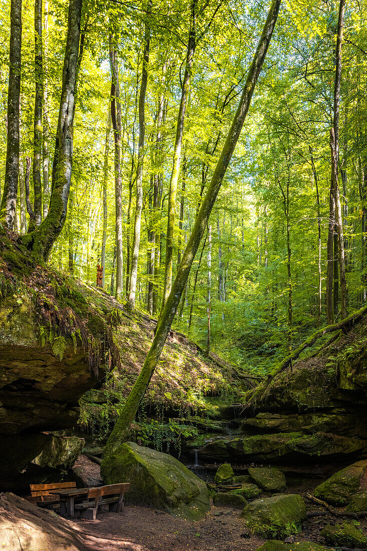 Hexenklamm, Rheinland-Pfalz, Deutschland